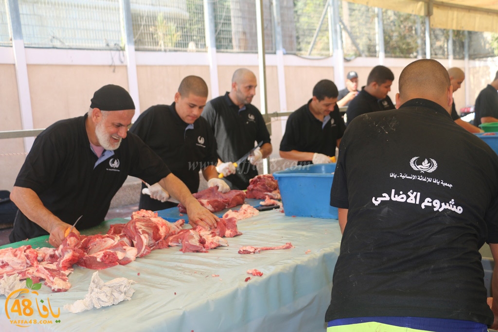 ada7y forthei (48).JPG